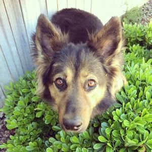 Meet your Posher, Christy